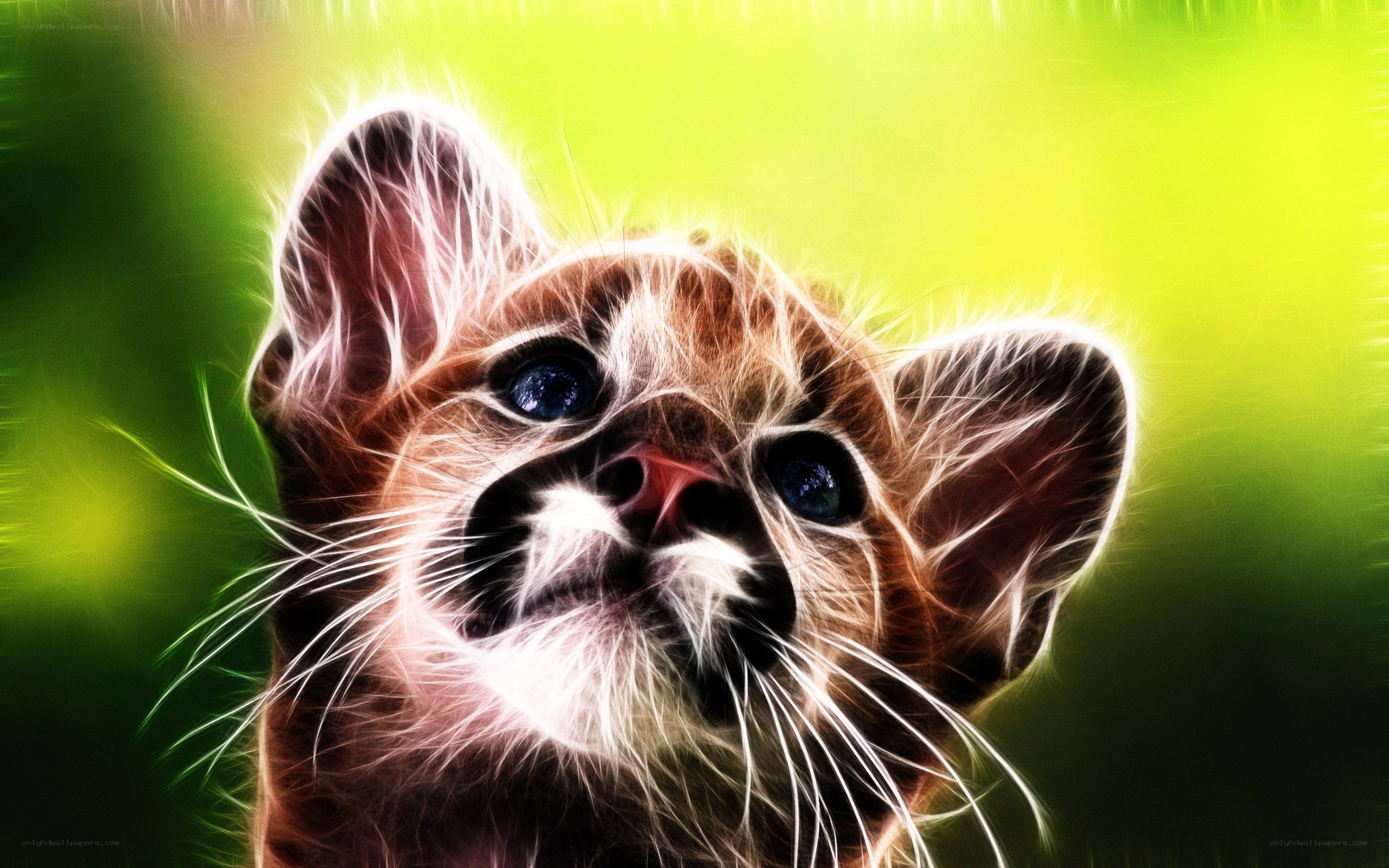 fractal kitten portrait