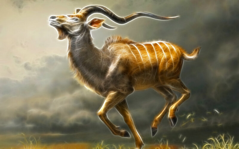 fractal kudu in motion