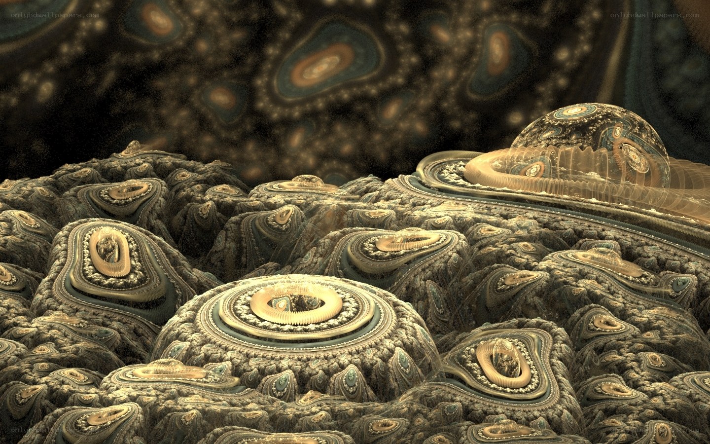 Fractal landscape with organic structures