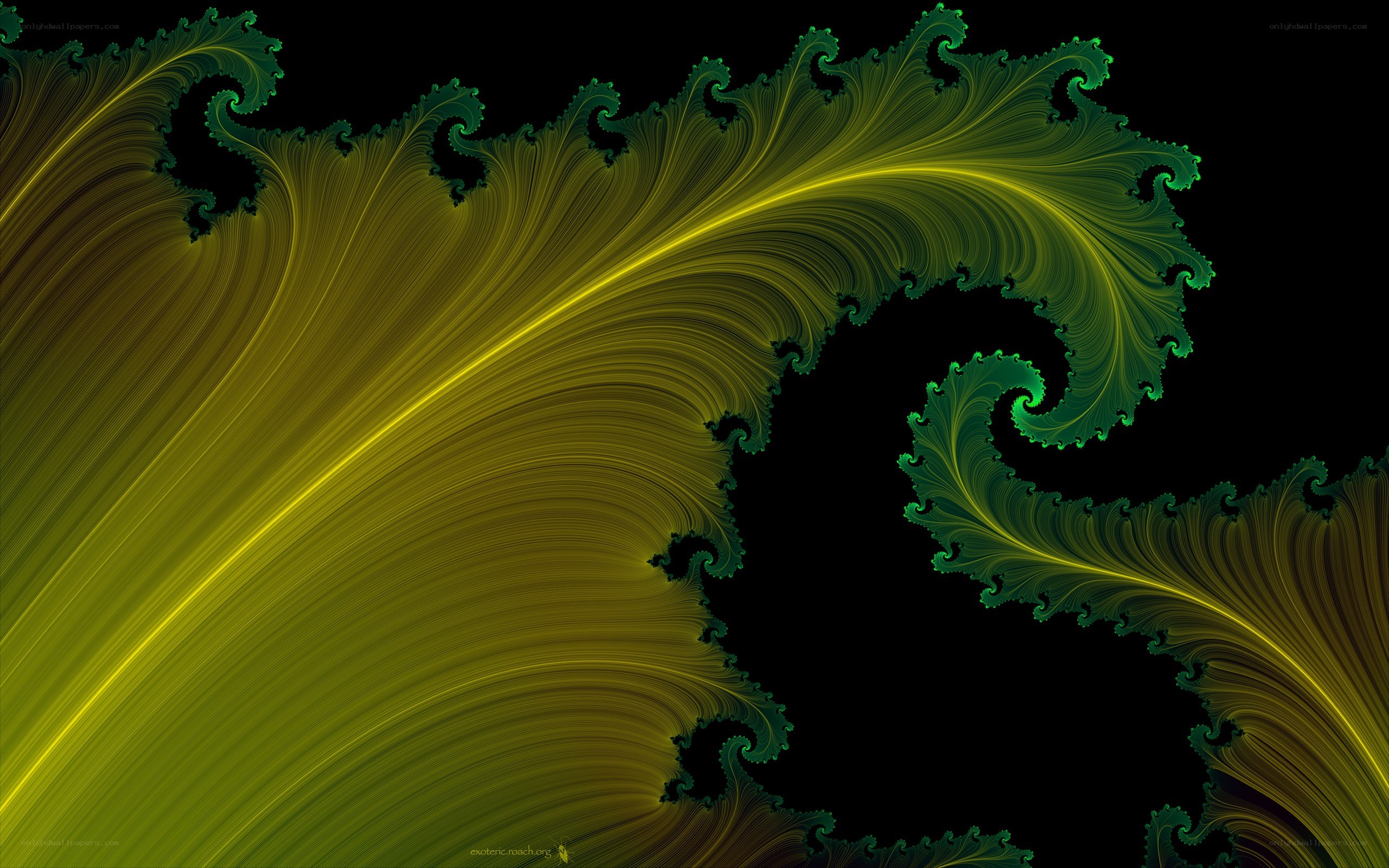 Fractal leaf pattern