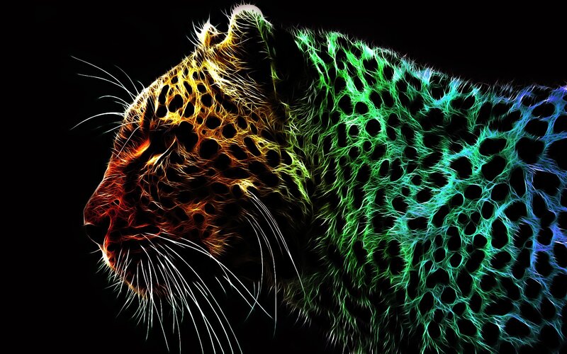 fractal leopard artwork