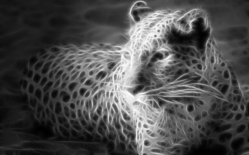 fractal leopard artwork