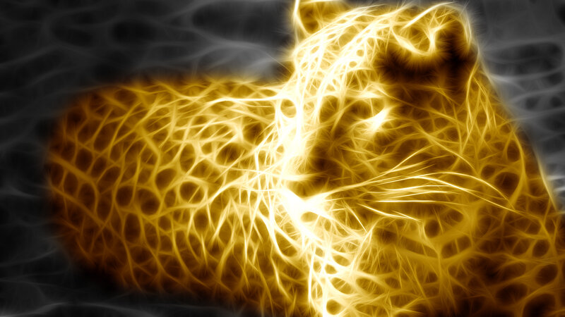 fractal leopard design