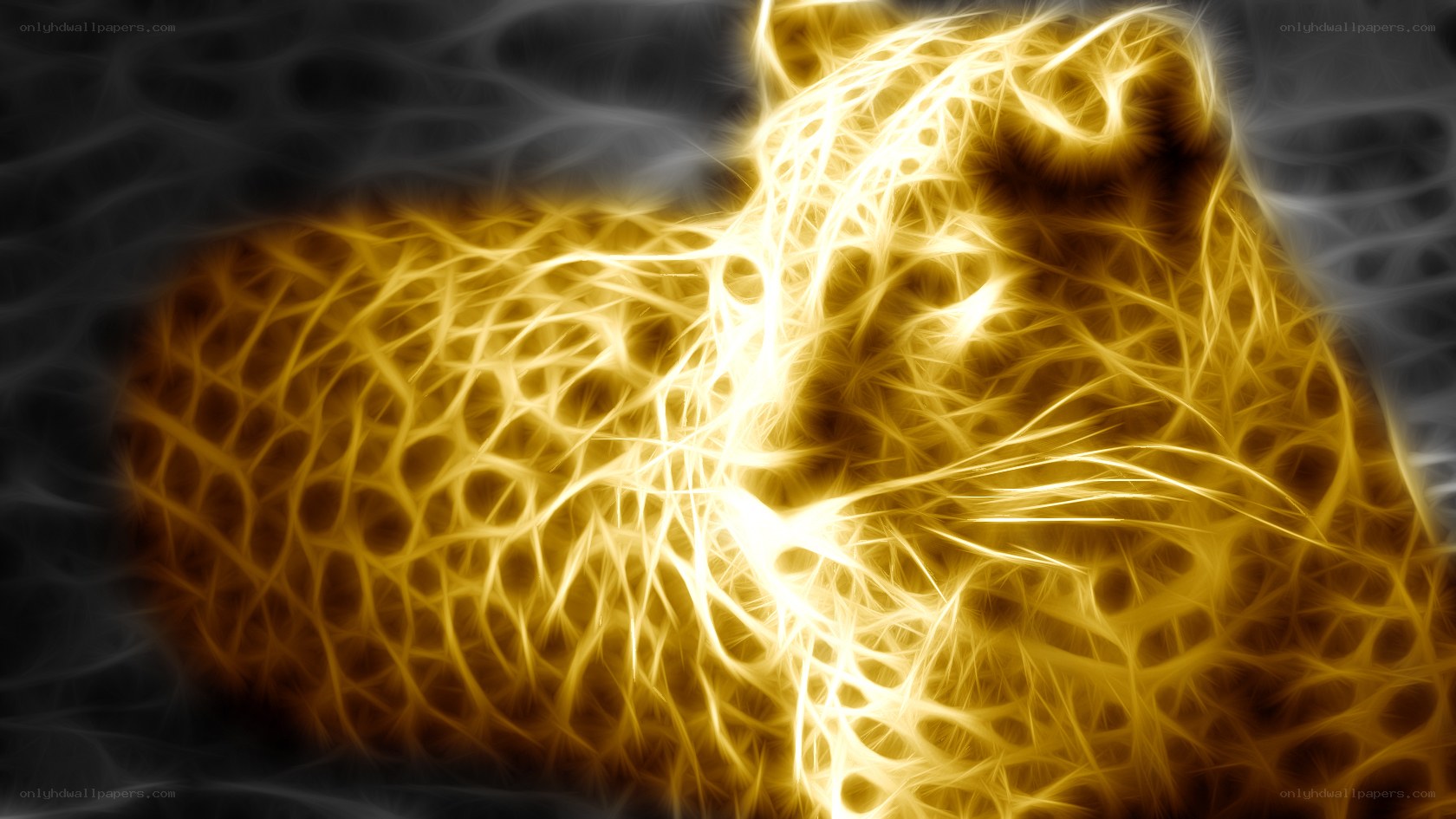 fractal leopard design