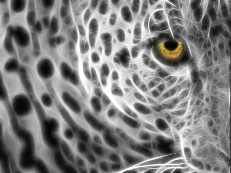 Fractal leopard eye art