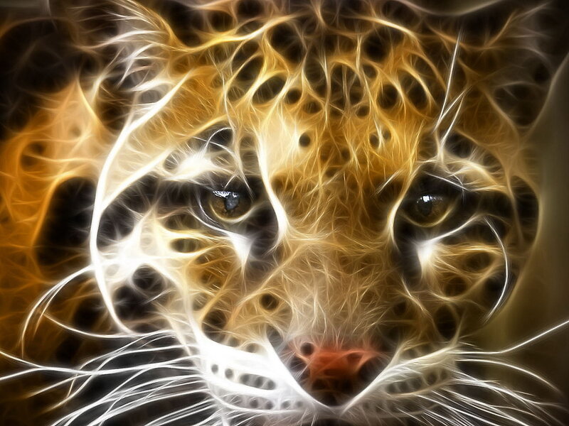 fractal leopard face