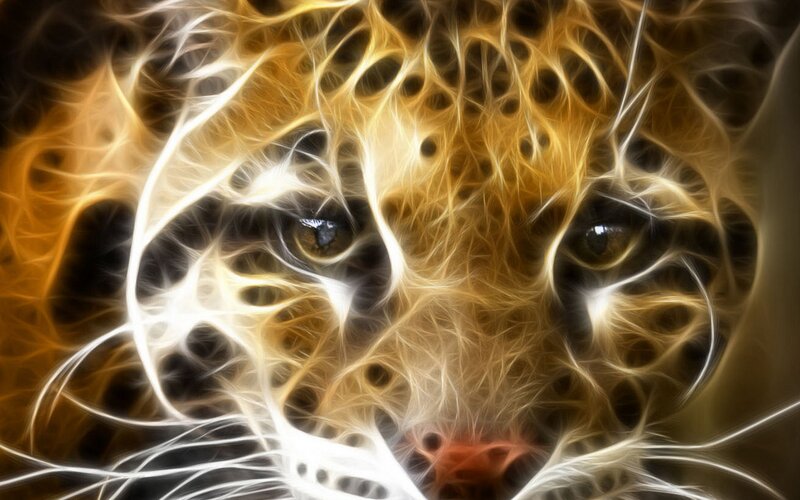 fractal leopard face