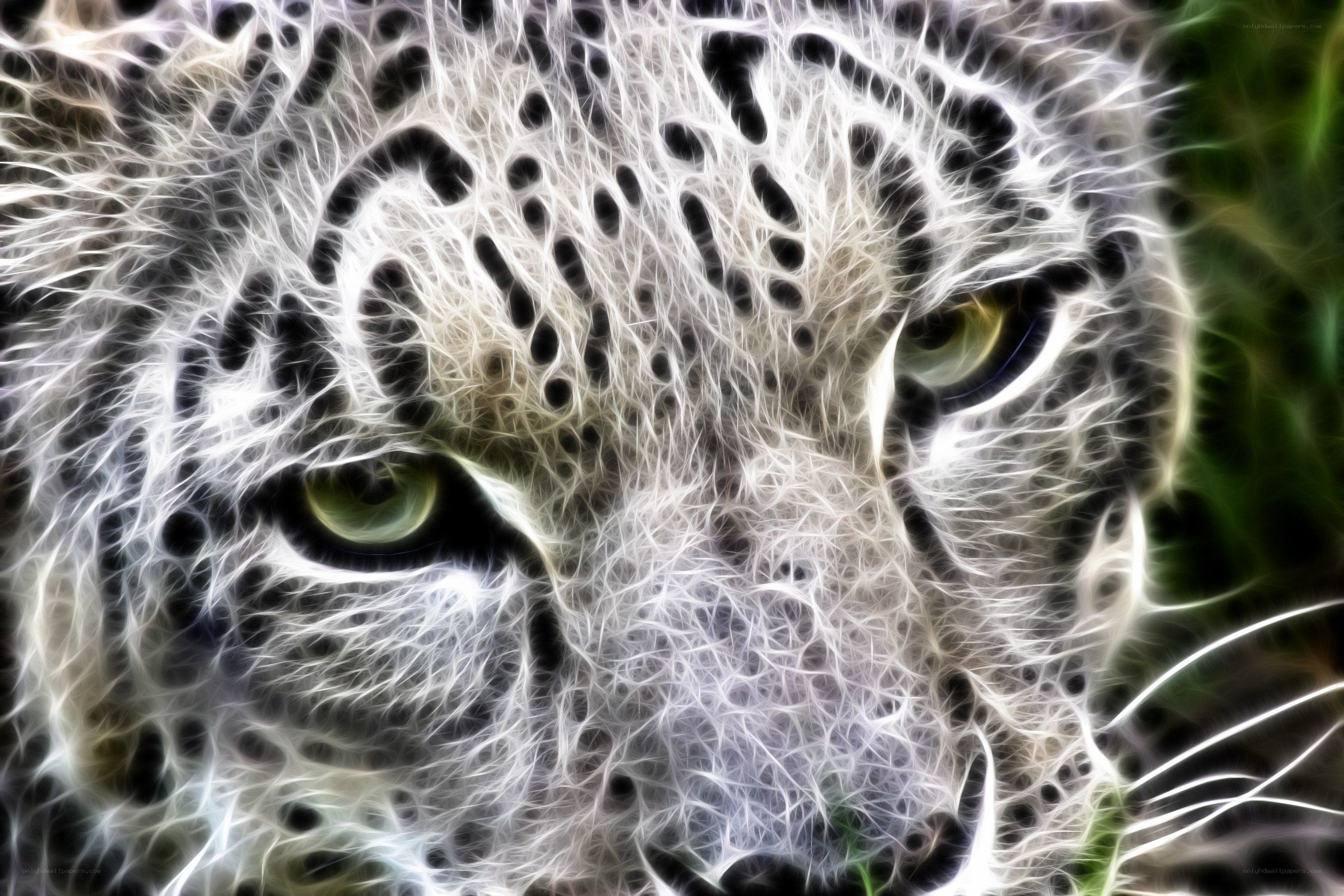 fractal leopard face