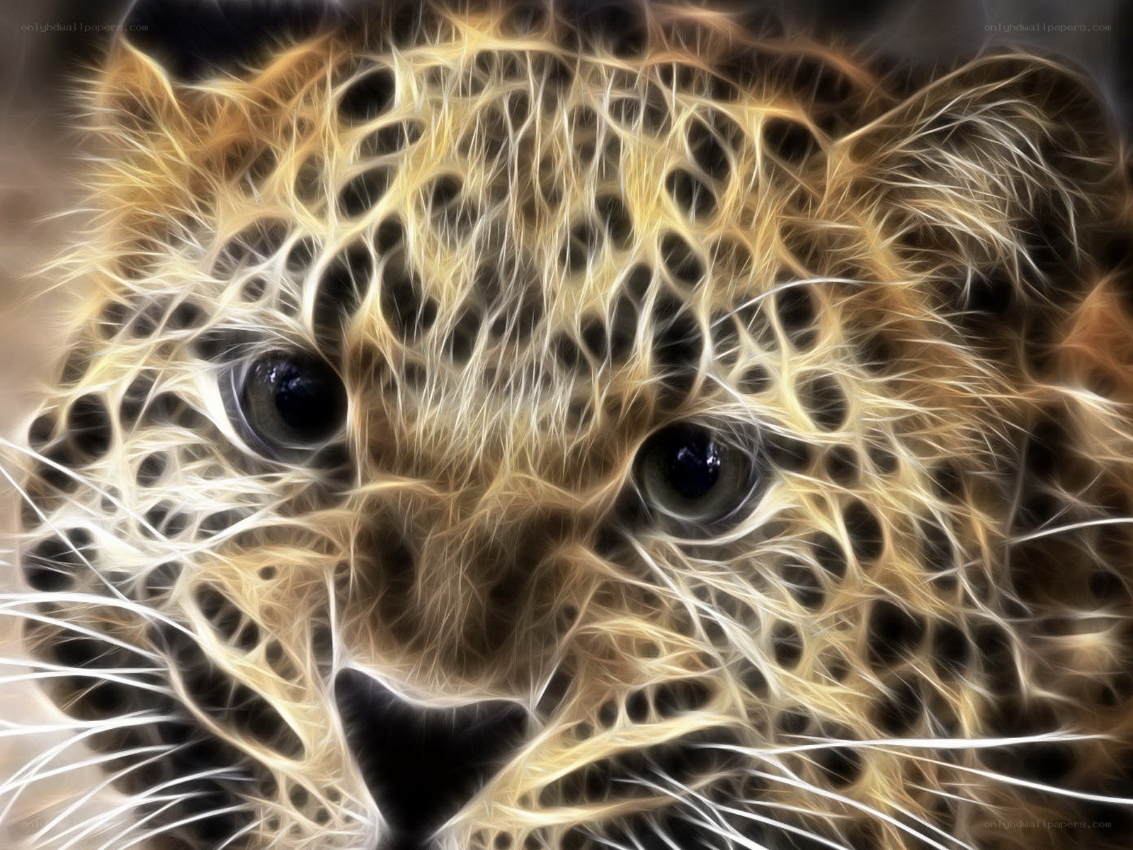 fractal leopard face