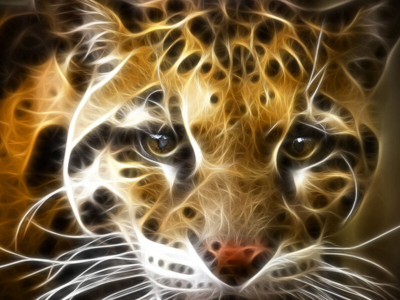 fractal leopard face art
