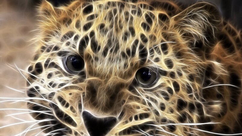 fractal leopard face close-up