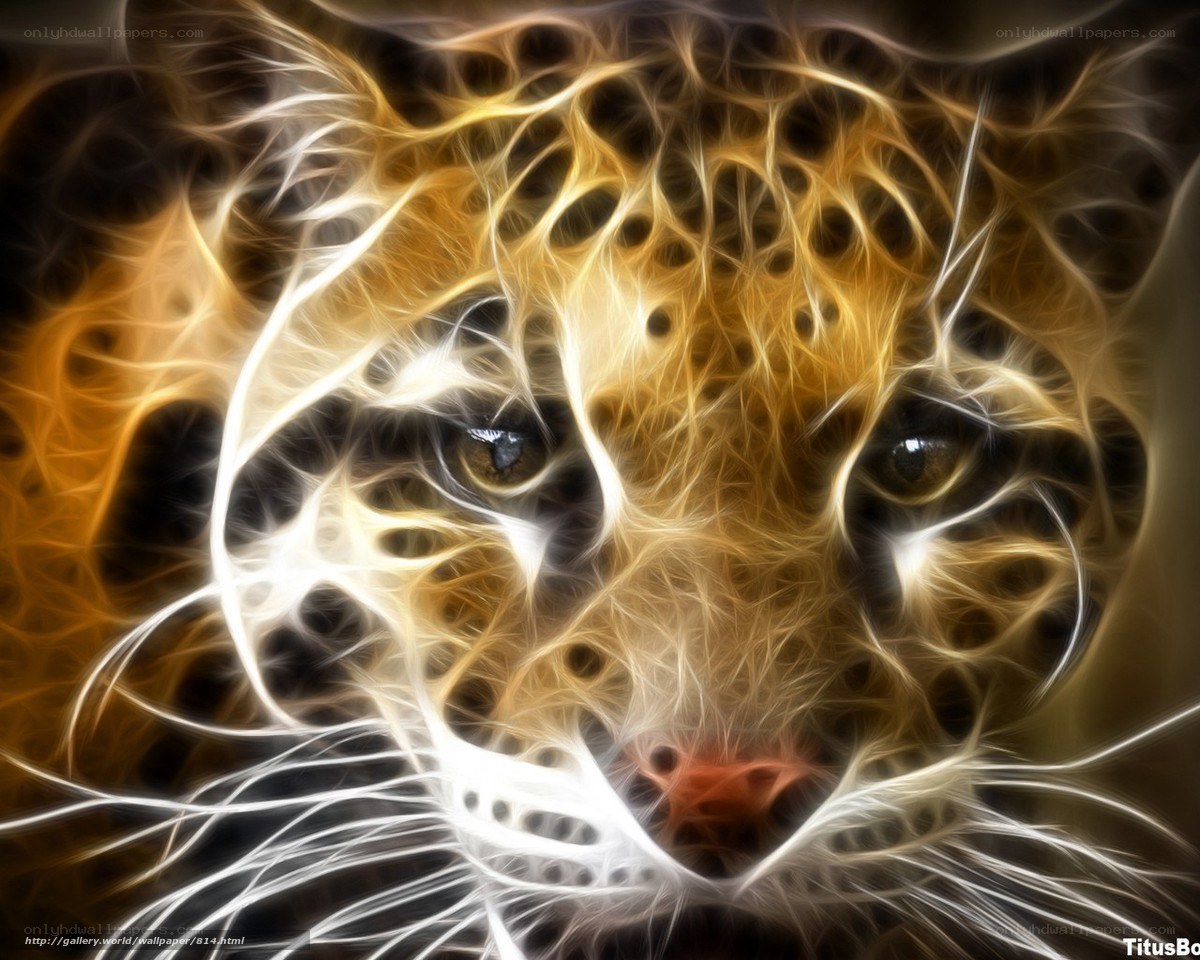 fractal leopard face