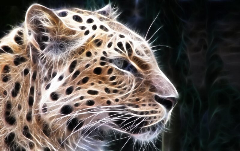 fractal leopard head