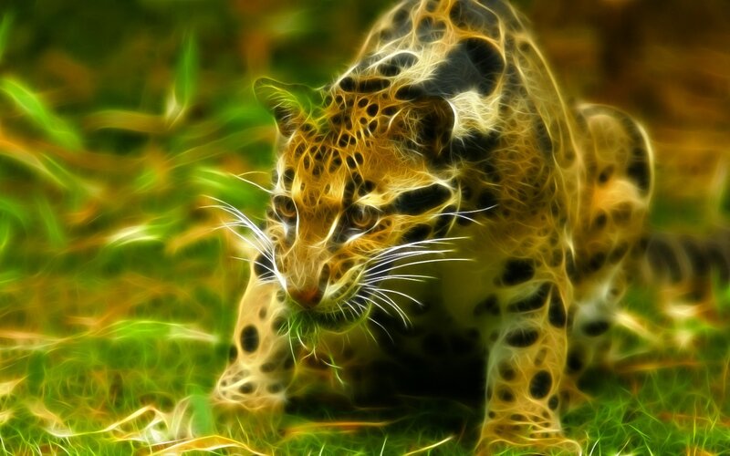 fractal leopard in grass