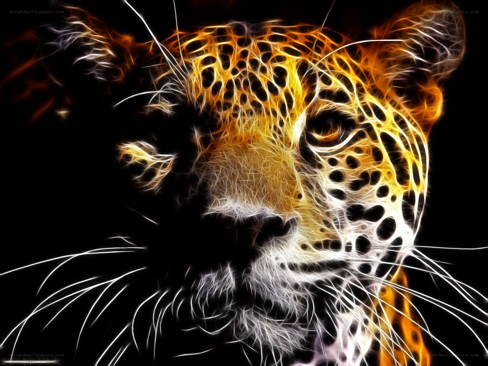 fractal leopard portrait