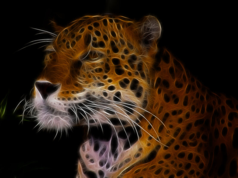 fractal leopard portrait