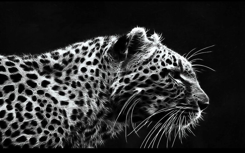 fractal leopard profile