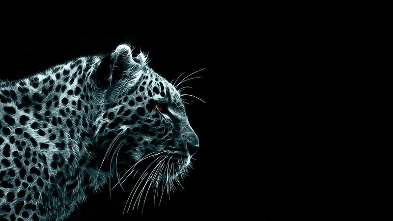 fractal leopard profile