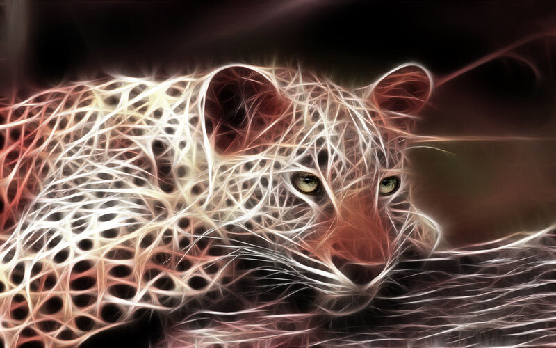 Fractal Leopard