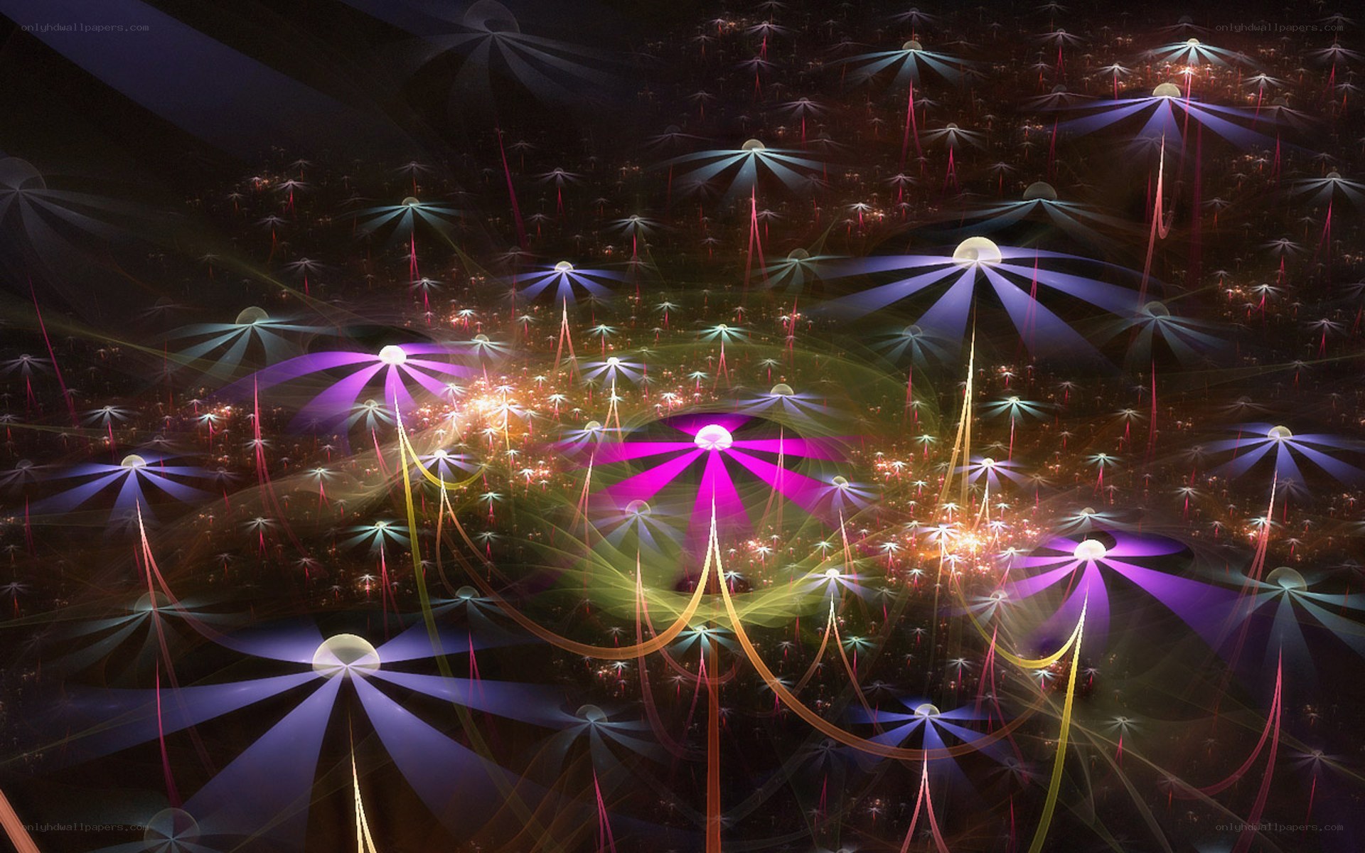 Fractal light field