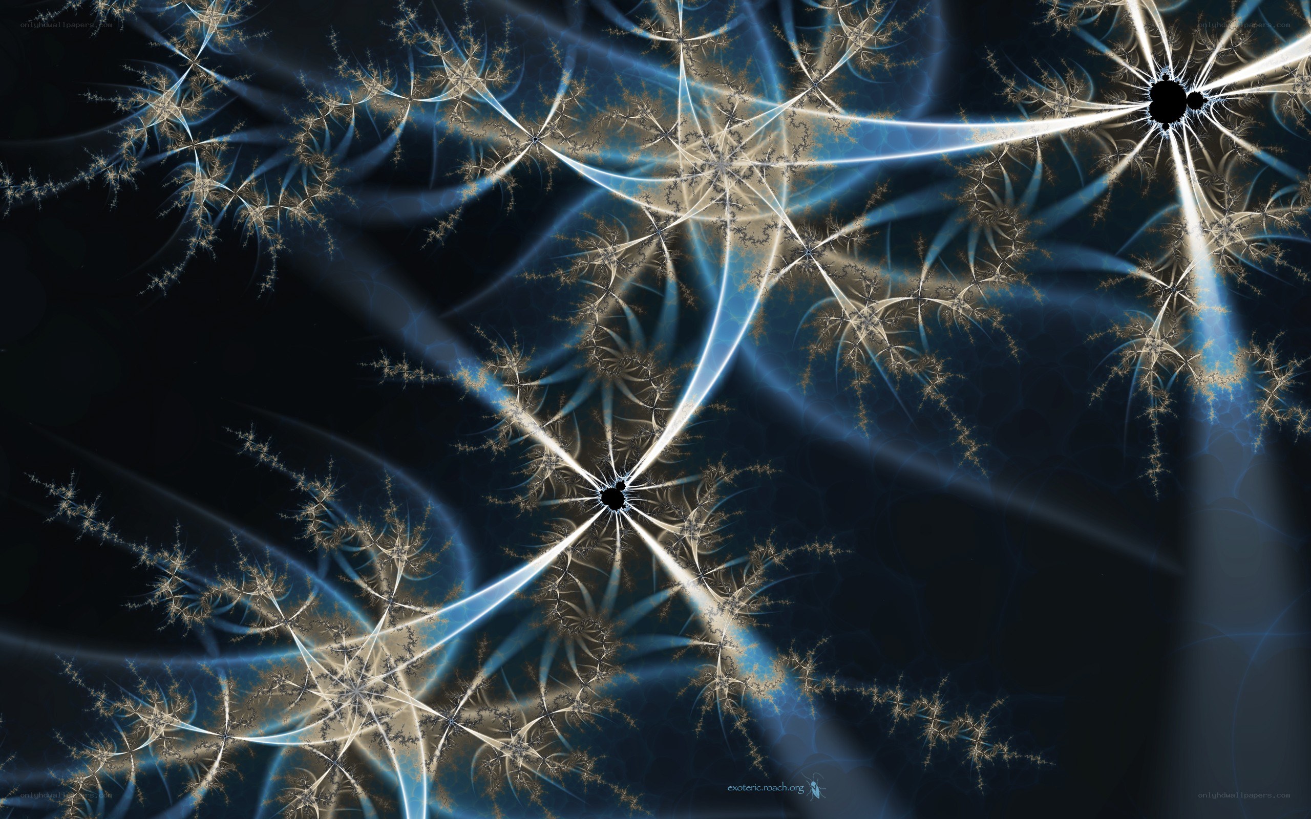 fractal light patterns