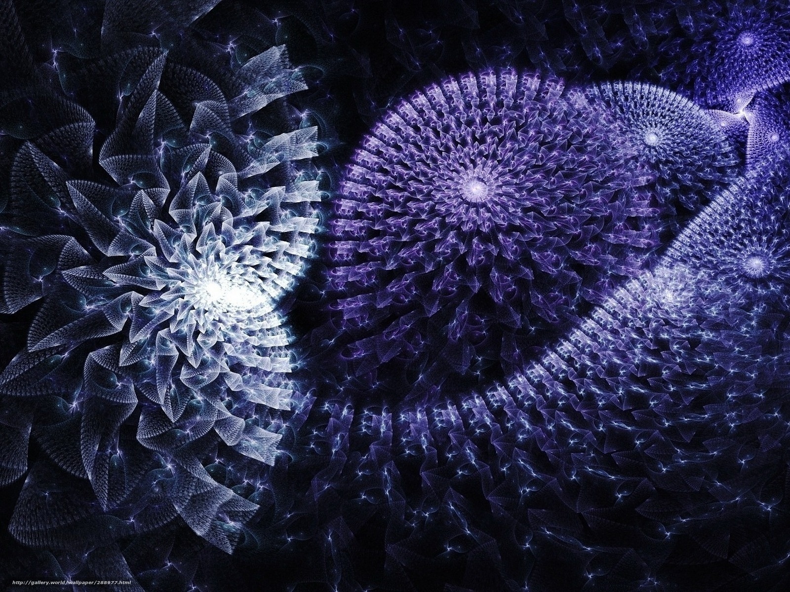 Fractal light patterns