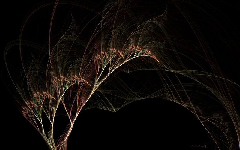 Fractal light patterns on black