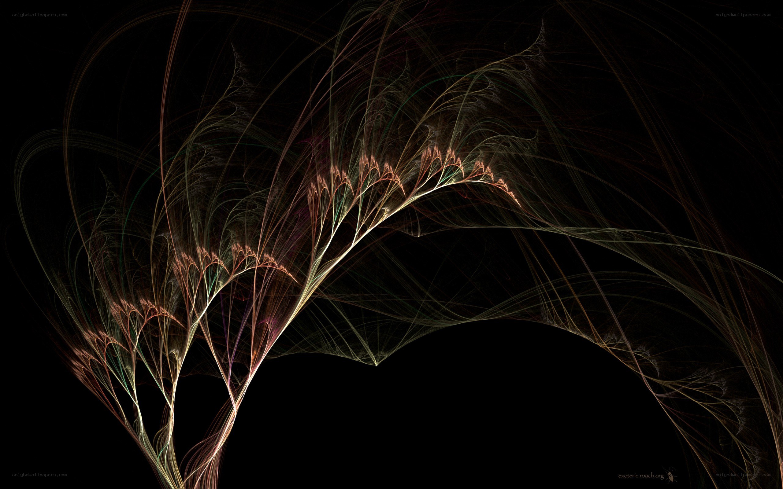 Fractal light patterns on black