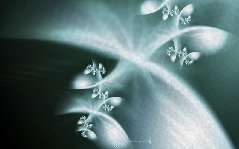 Fractal Light Patterns — White
