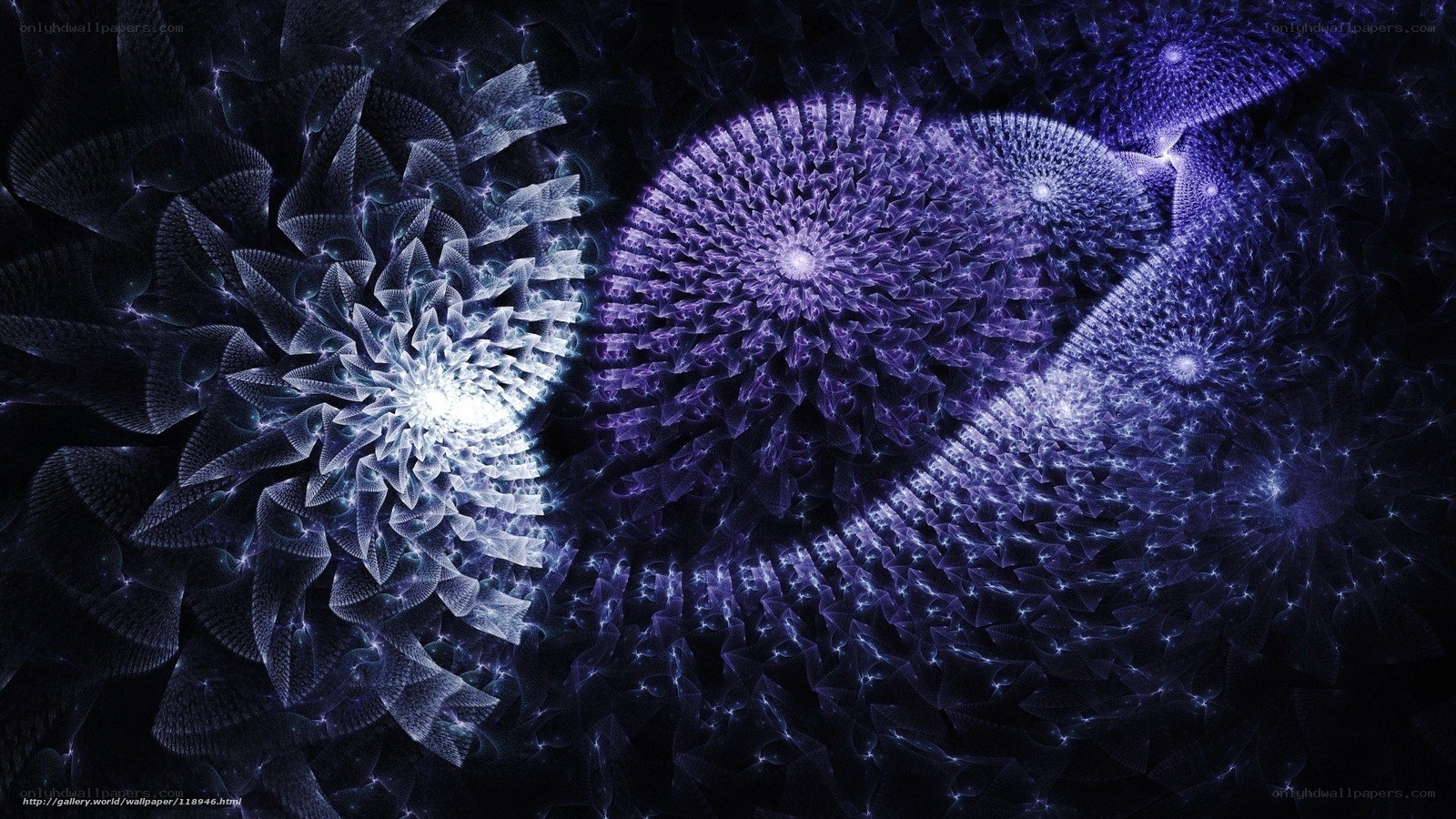 fractal light patterns