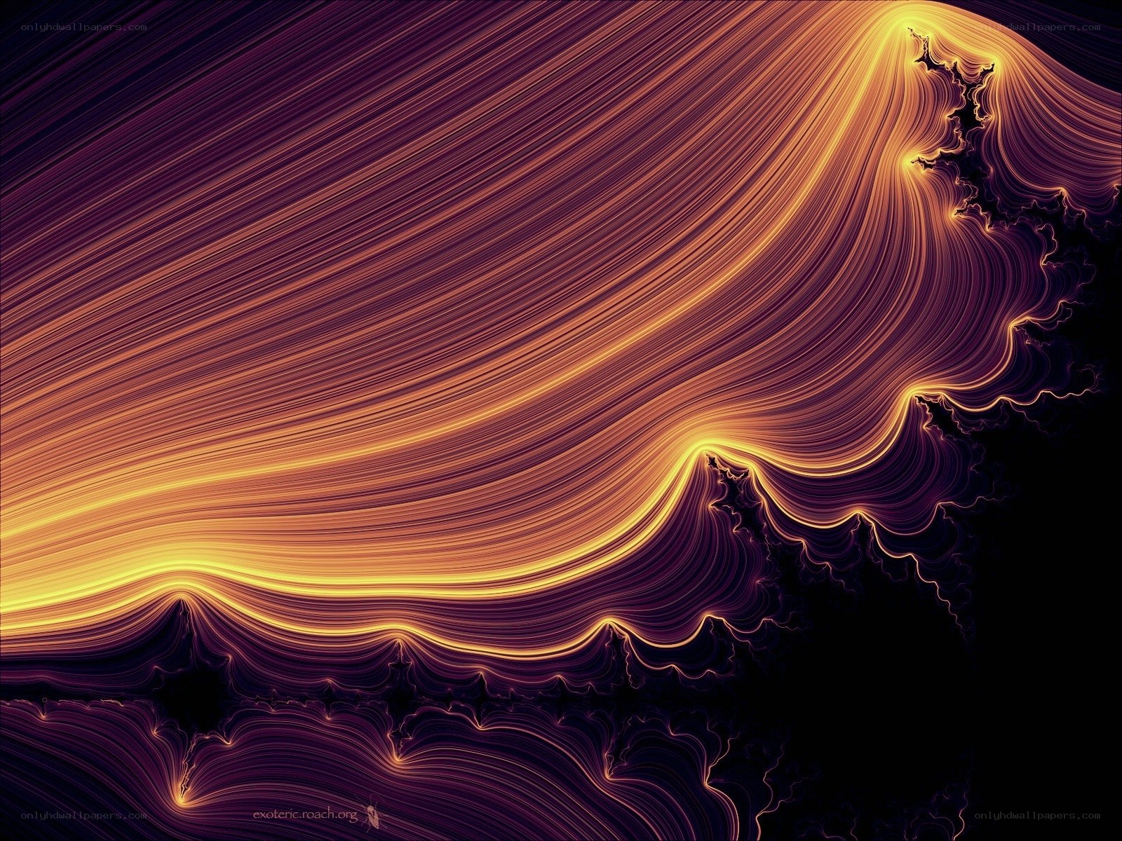 Fractal light waves