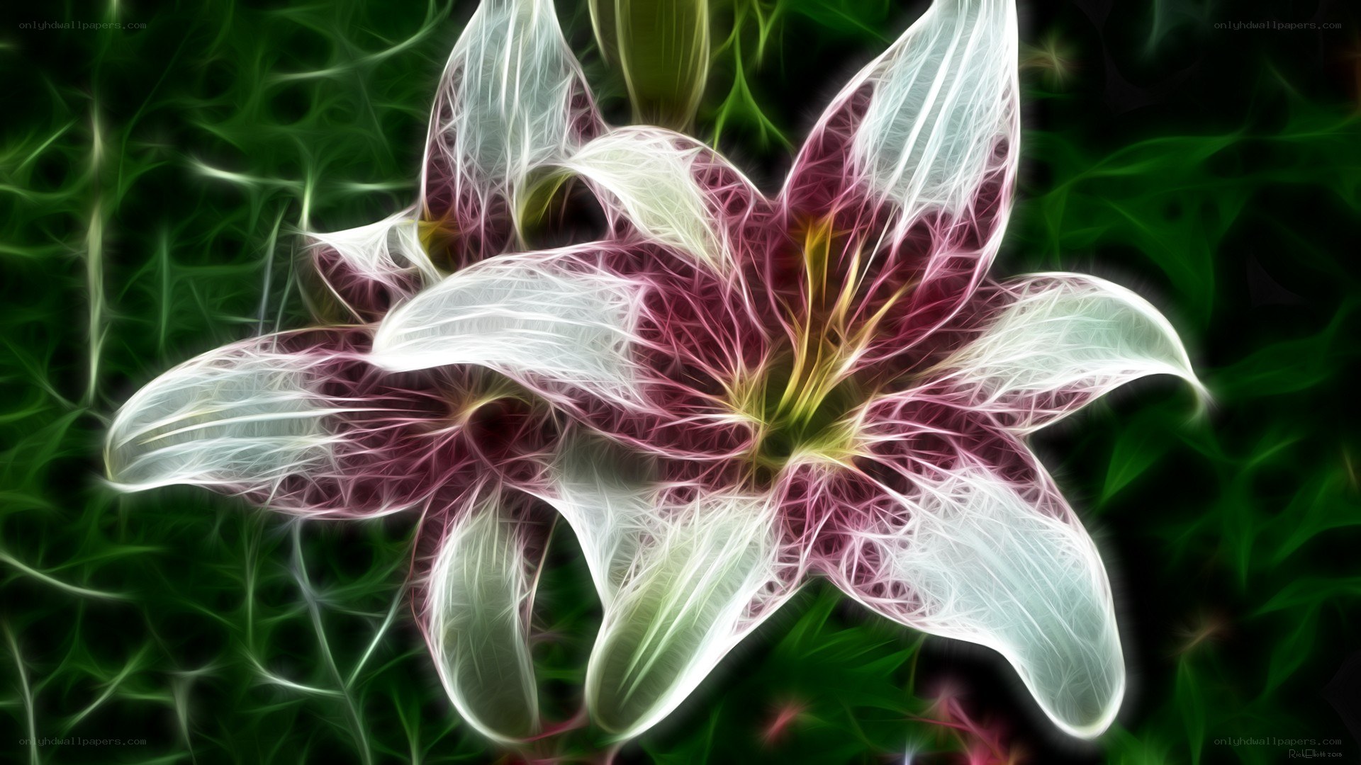 fractal lily flower