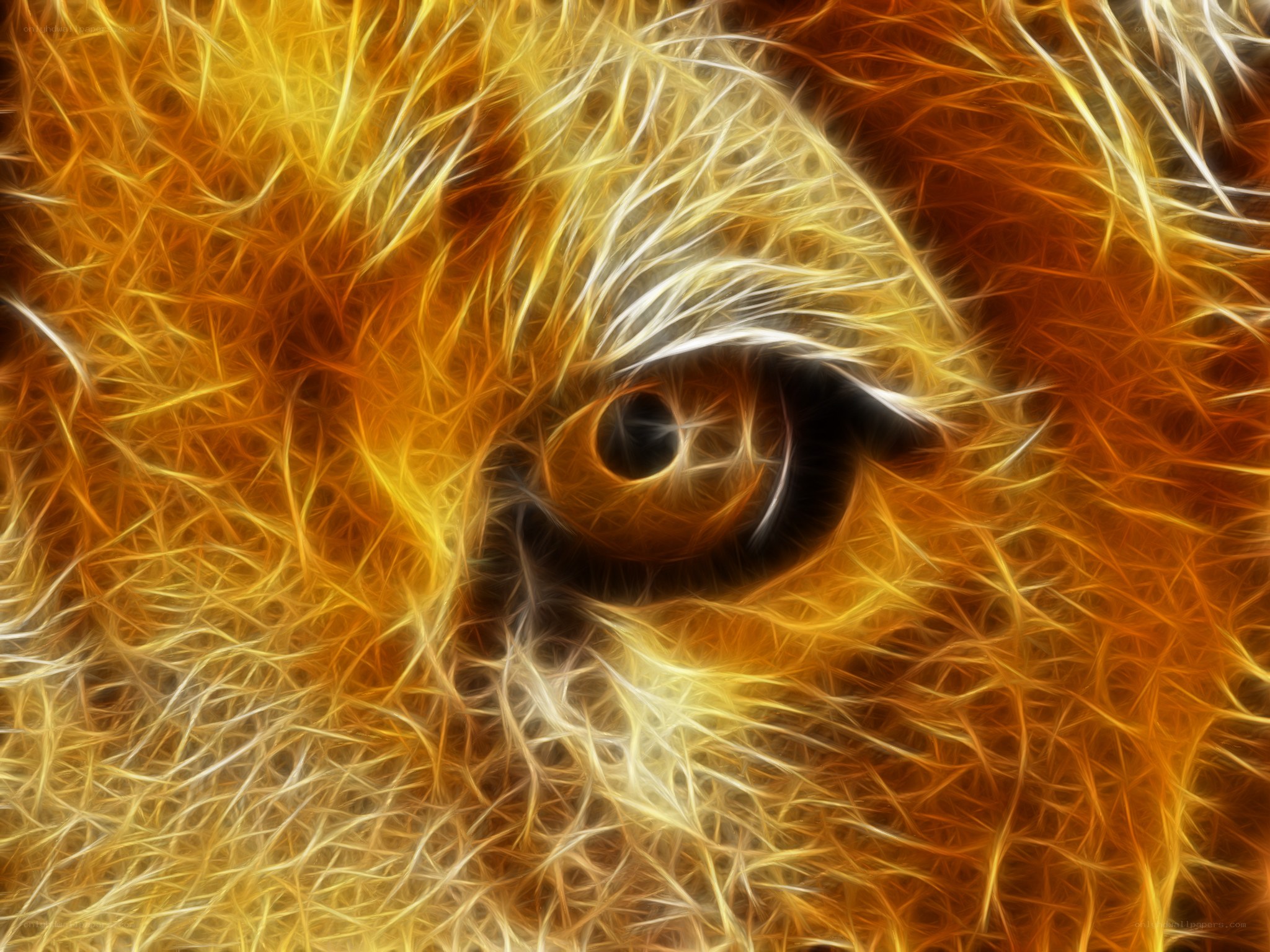 fractal lion eye close-up