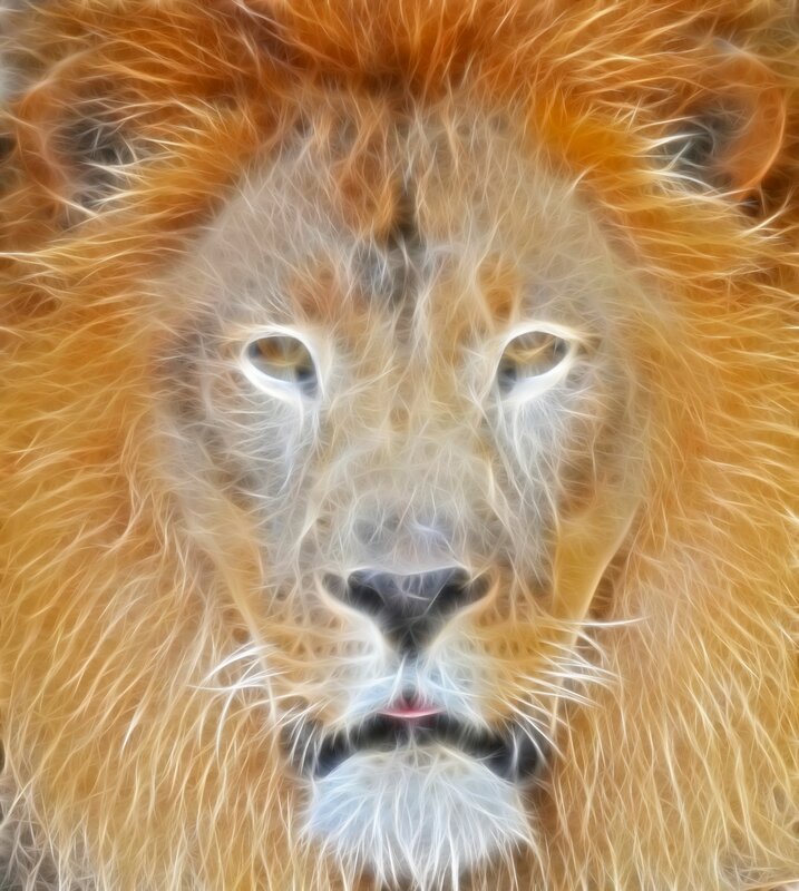 fractal lion face portrait