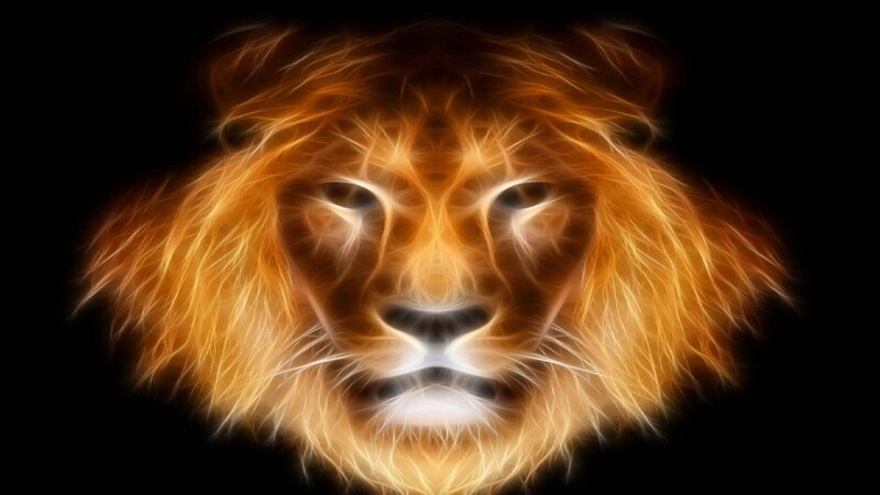 fractal lion head