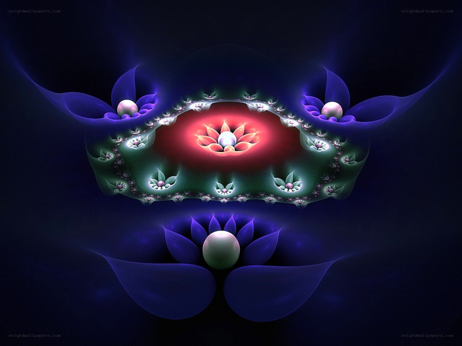 fractal lotus flower design