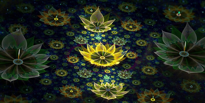 fractal lotus flower pattern
