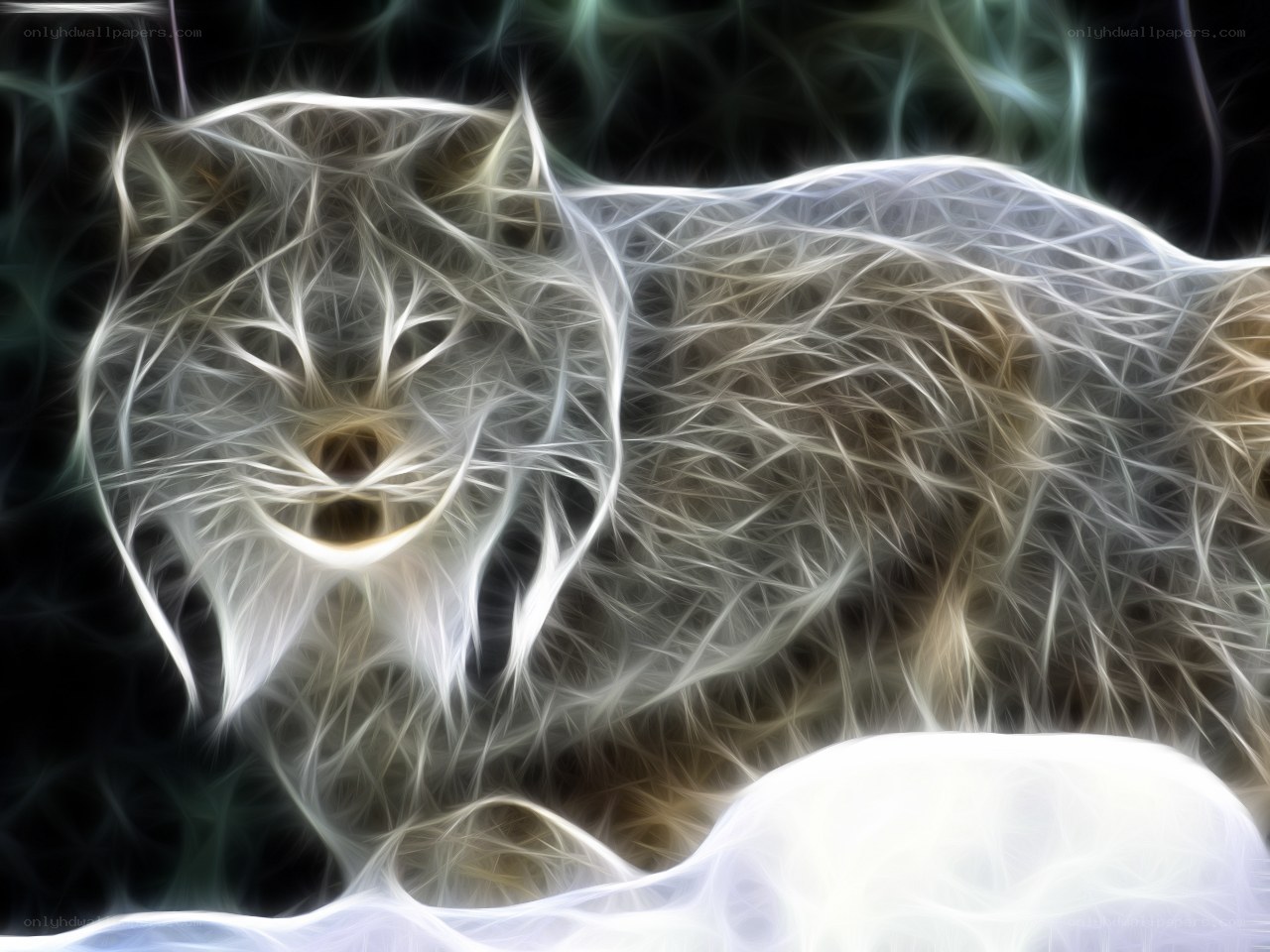 fractal lynx in snow