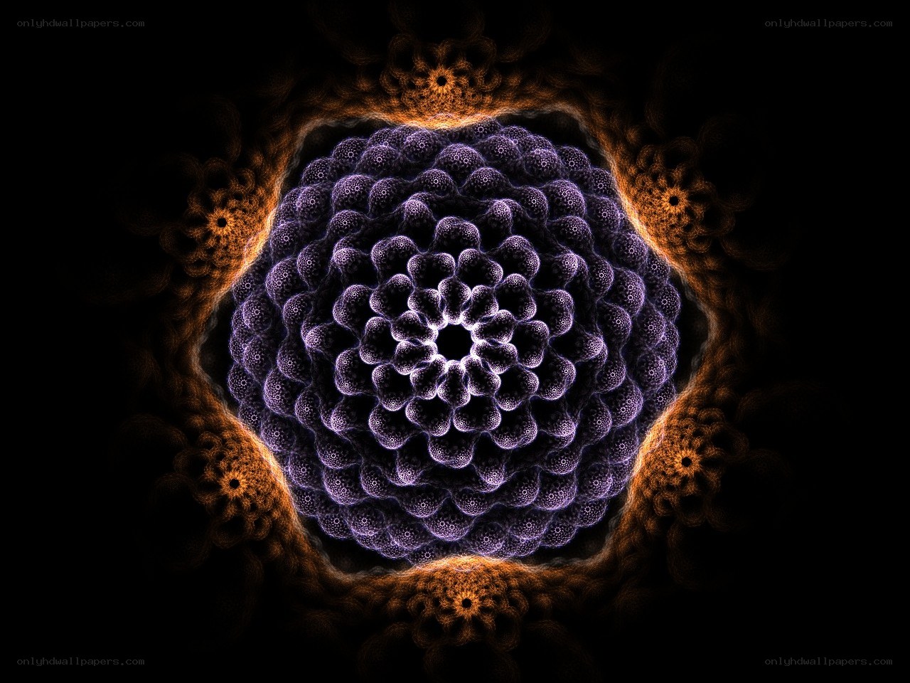 fractal mandala pattern