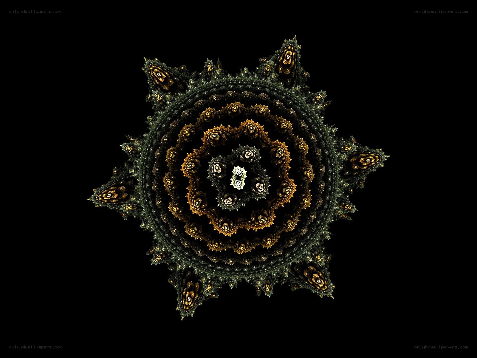 fractal mandala pattern