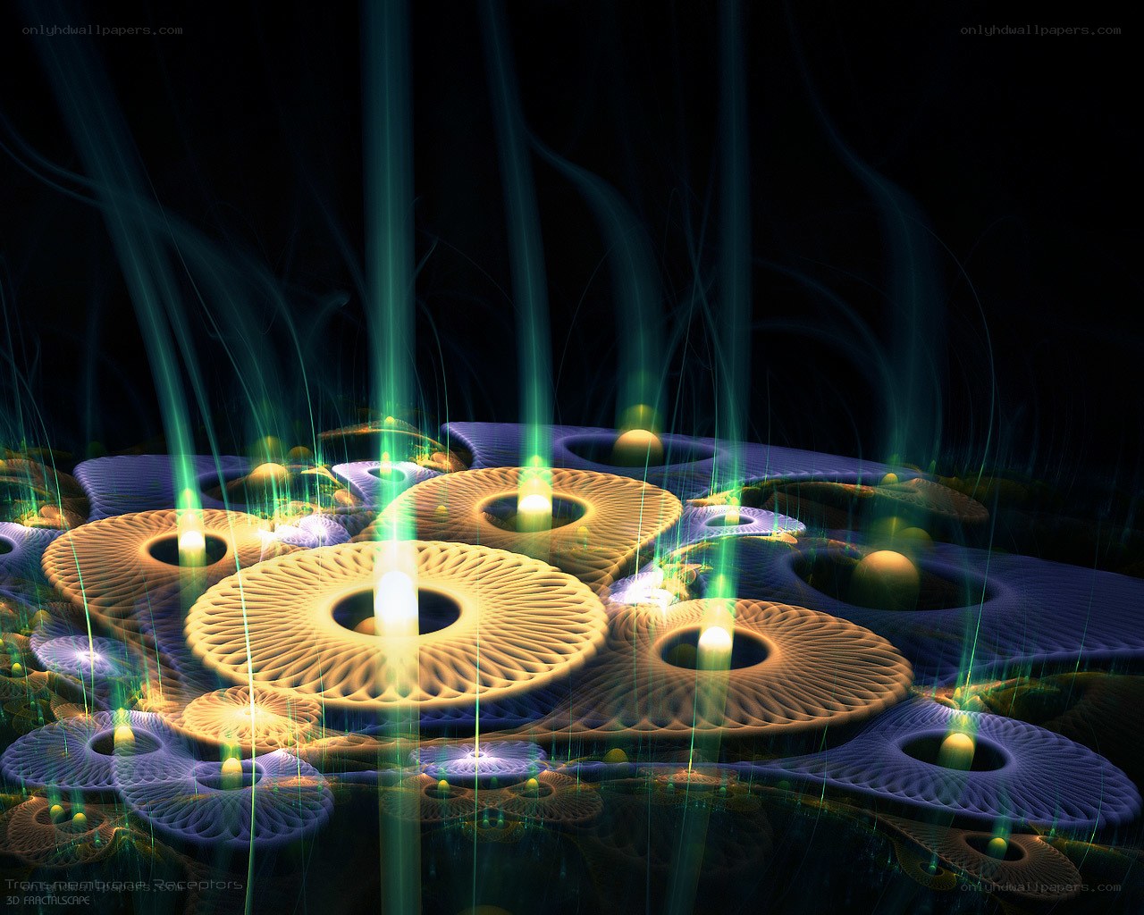 Fractal membrane receptors