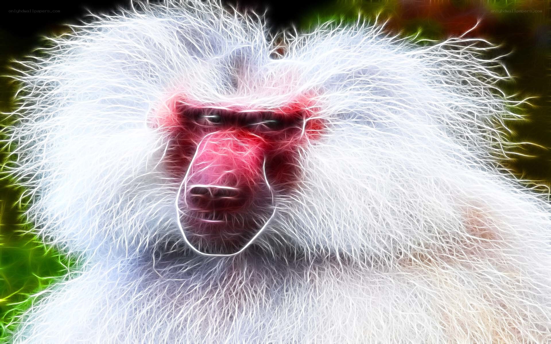 fractal monkey portrait