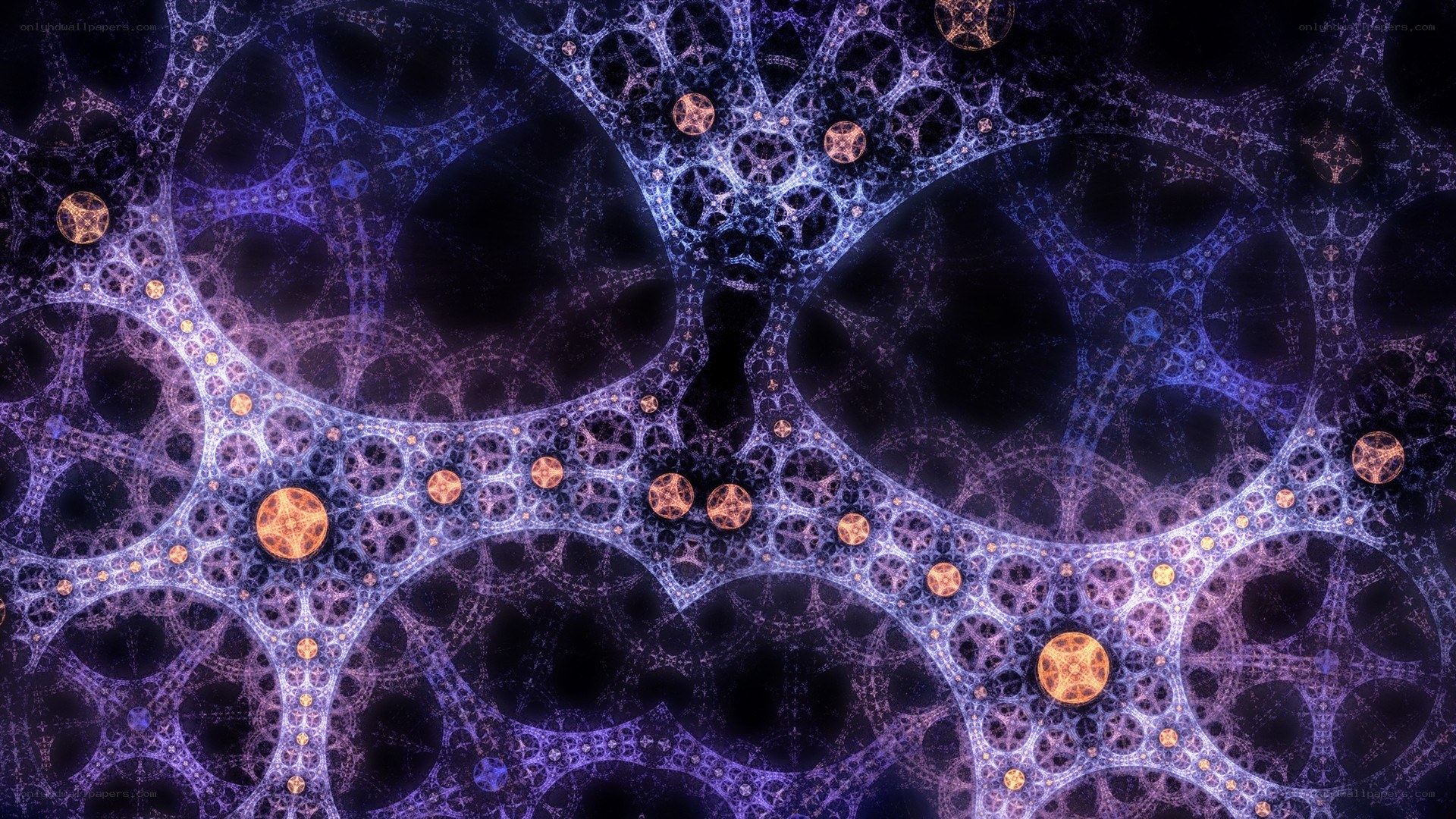 fractal network pattern
