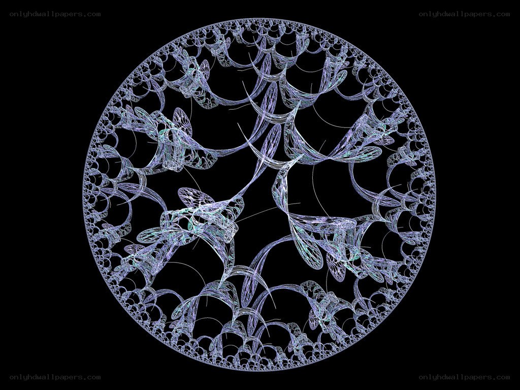 Fractal network pattern