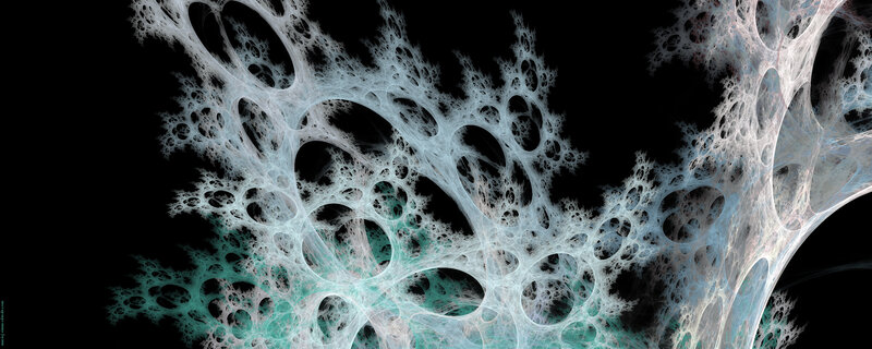 Fractal network structure