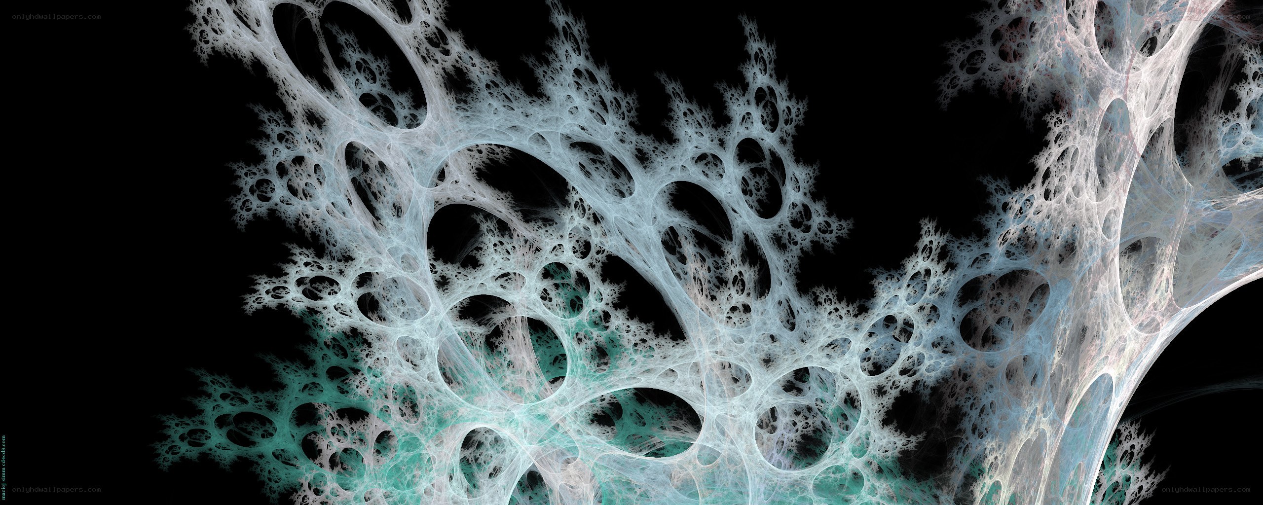 Fractal network structure
