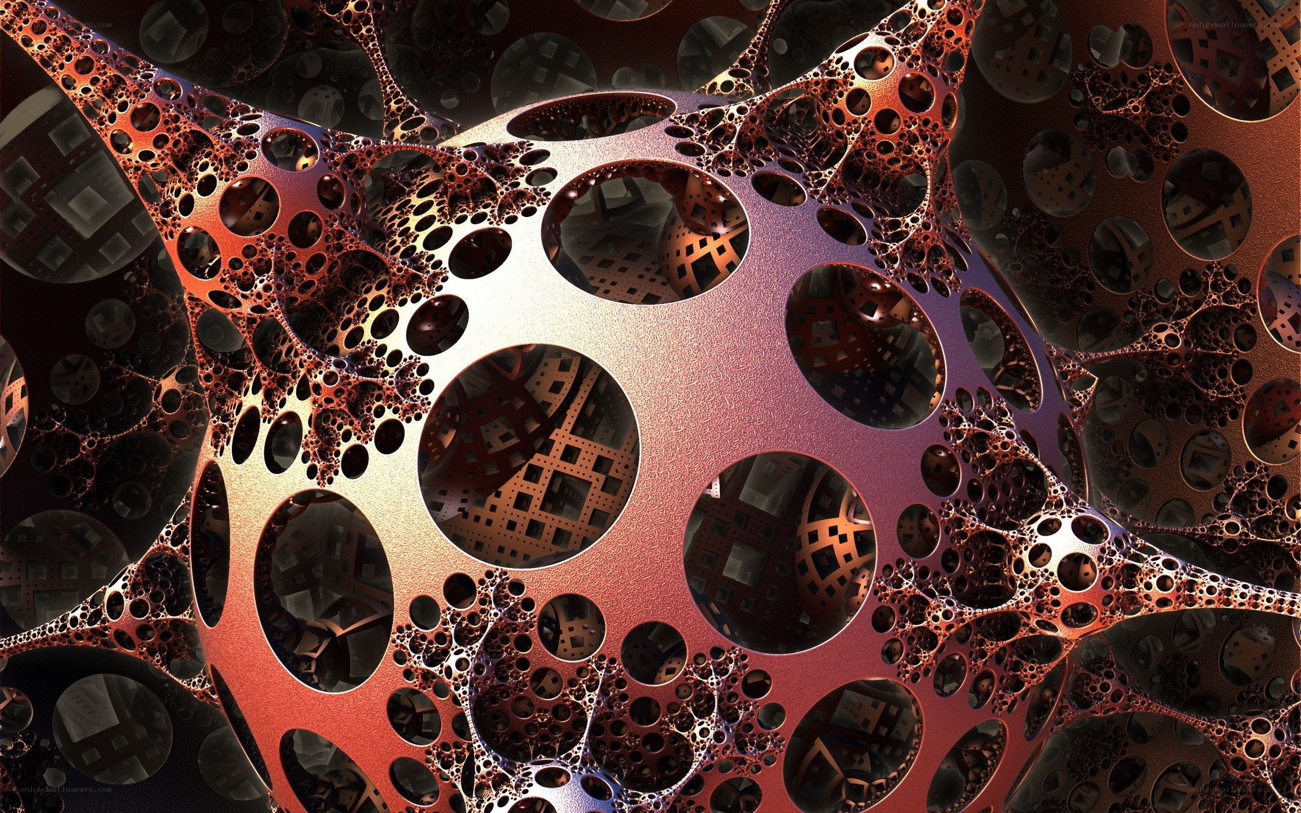 fractal network structure