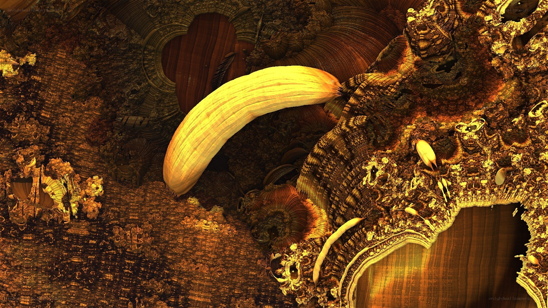 fractal organic landscape