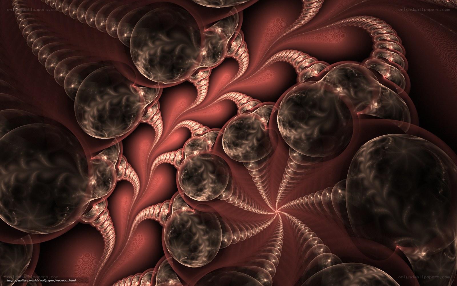 Fractal organic network
