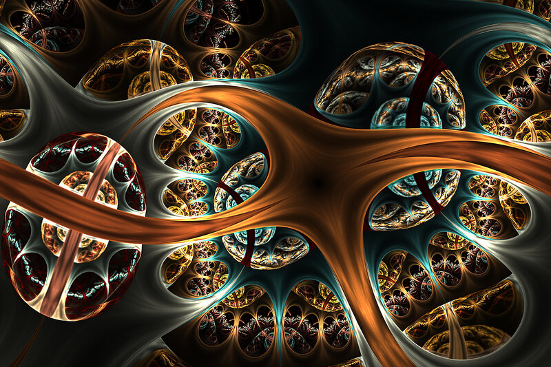Fractal organic network